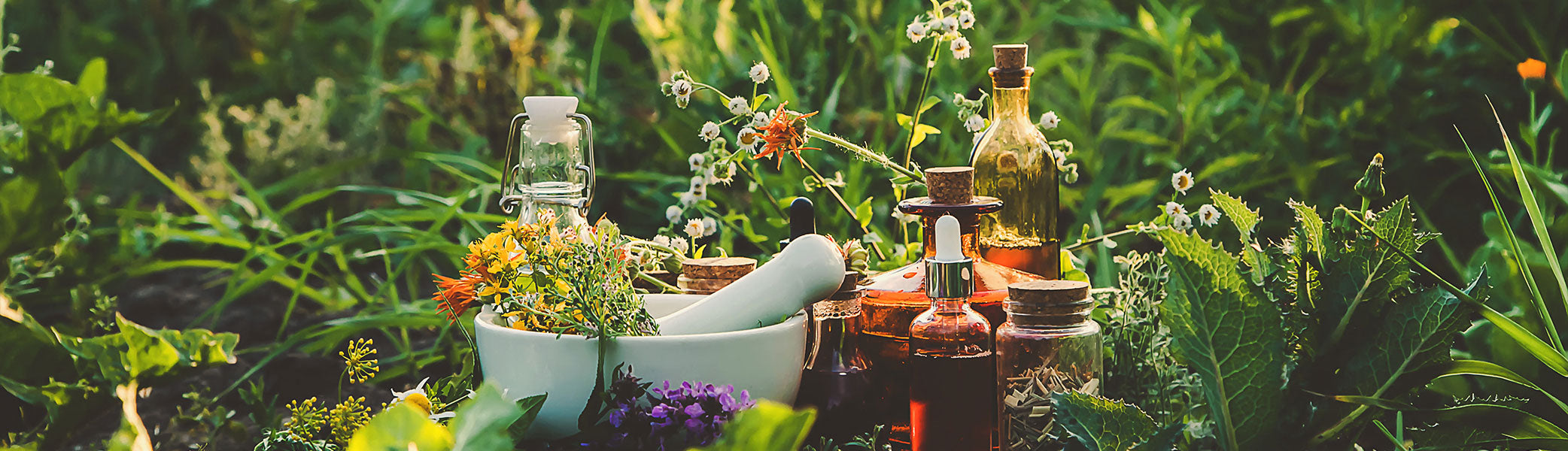 Eine Sammlung von Glasflaschen, Gläsern und einem Mörser und Stößel mit frischen Kräutern und Blumen im Freien zwischen hohem grünen Gras und Blattpflanzen.