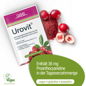 Urovit®-Cranberry Pulver von gse.organic.supplements ist mit Cranberries und Pulver dargestellt. Das Etikett hebt "36 mg Proanthocyanidin pro Tagesdosis" hervor und weist darauf hin, dass es vegan, glutenfrei und laktosefrei ist.